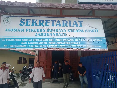 Petani Sawit Ungkap Dampak Mengikuti Pelatihan BIPOSC, Produksi Naik Signfikan