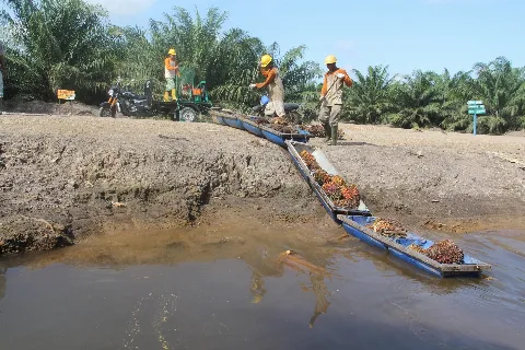 Strategi Mengatasi Niat Berpindah Asisten Kebun Perusahaan Perkebunan Kelapa Sawit