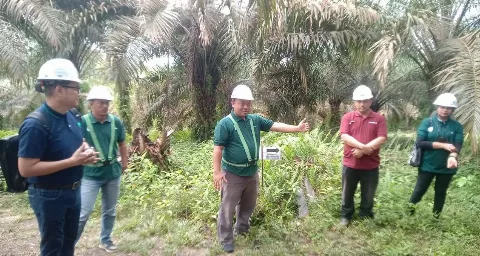 Enam Asosiasi Pekebun Swadaya Binaan Musim Mas Sukses Raih Kredit RSPO Rp 20 Miliar