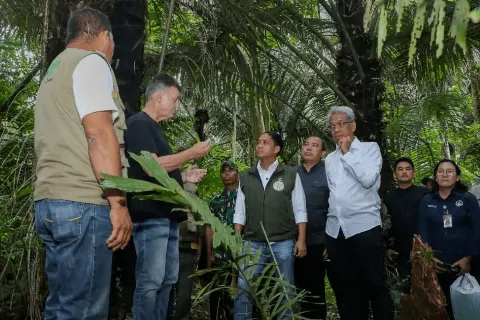 Menteri Kehutanan Menyiapkan Kawasan Hutan untuk Pengembangan Bioethanol