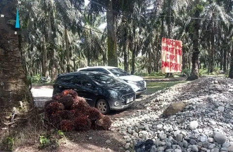Ribuan Petani Sawit Bengkulu Protes Aksi Blokir Forum Masyarakat Bumi Pekal di PT Agricinal