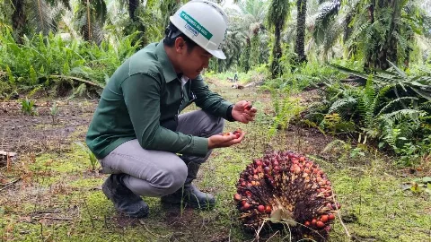 Warga dan Masyarakat Desa Long Melah Rasakan Dampak Positif Perusahaan Sawit