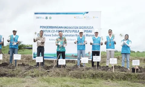  100 Ha Tanaman Gamal untuk Cofiring PLTU di Kalteng