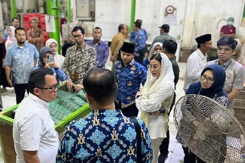 Anggota Komisi VII DPR RI Novita Hardini Dukung Pengembangan Ekonomi Hijau dan Perdagangan Karbon