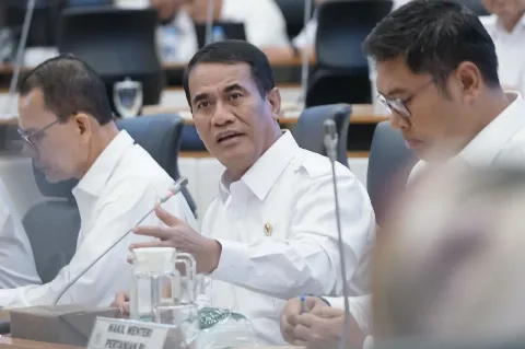 Pemerintah Alokasikan 45,8 T untuk Pupuk Bersubsidi di Tahun 2025