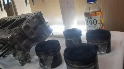 Pertamina Siapkan Dua Kilang Untuk Memproduksi Biodiesel B40
