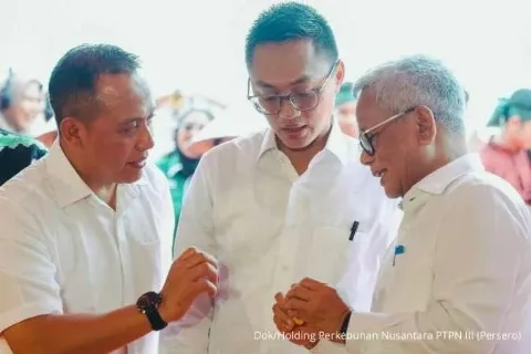 Holding Perkebunan Nusantara Perkenalkan Benih Sawit dengan Potensi 12 ton CPO