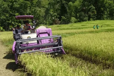 Kementan Bantu Alistan untuk Petani di Kabupaten Simeulue