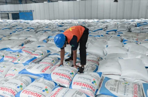 Sowan ke Putin, Indonesia Jajaki Pabrik Pupuk Urea di Vladivostok dan Kerja Sama Kapal Pengolah Ikan Mutakhir