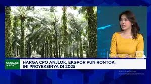 CPO Mengalami Tren Pelemahan
