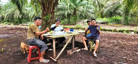 APKASINDO: Petani Tidak Perlu Panik, Dana PSR Tetap Disalurkan