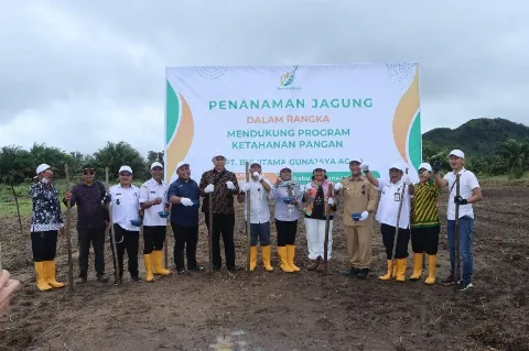 Sokong Program Ketahanan Pangan, Bumitama Siapkan Demplot Pertanian Jagung