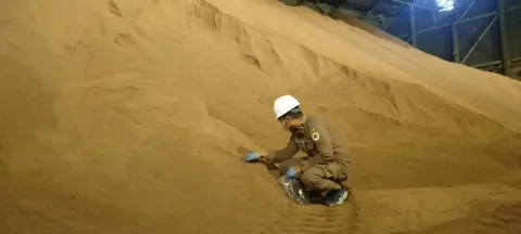 Tekan Impor Jagung, 2 Juta Ton Bungkil Inti Sawit Menjadi Feed Additive Pakan Unggas
