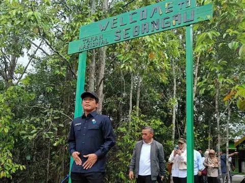Menteri LHK Tinjau Pemulihan Ekosistem Gambut di Taman Nasional Sebangau