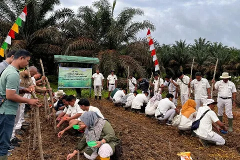 PT Austindo Nusantara Jaya Agri Siais Luncurkan Program “Kesatria Ketapang”  Wujudkan Swasembada Pangan