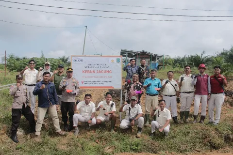 PT Austindo Nusantara Jaya Agri Tanam Jagung Dilingkungan Perusahaan Dalam Upaya Mendukung Ketahanan Pangan