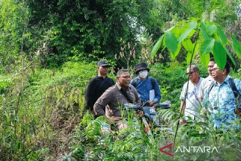 Kuasa Hukum Koppsa Tanggapi Gugatan Wanprestasi Koperasi Produsen Sawit Sukses Makmur