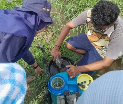 Mahasiswa Unila Sosialisasikan Limbah Sawit Sebagai Pestisida Alami