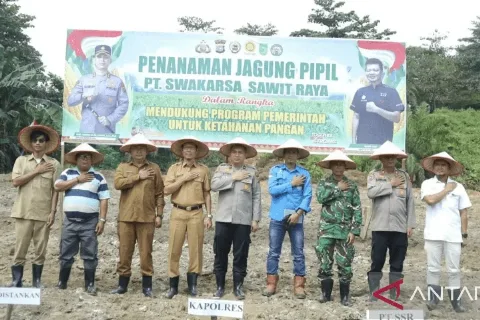 PT Swaskarsa Sawit Raya Menyediakan Lahan Untuk Mewujudkan Swasembada Pangan