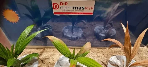 Sinar Mas Segera Luncurkan Benih Sawit Yang Toleran Terhadap Iklim Kering