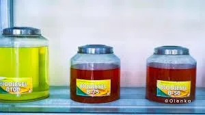 Biofuel Semakin Relevan Dengan Sustainable Development Goals