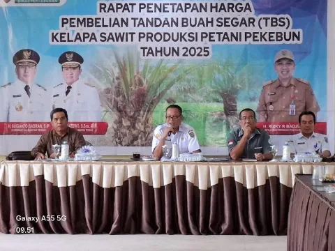 Harga TBS Kelapa Sawit Kalimantan Tengah Periode 1 Bulan Februari 2025 di Hargai Rp3.224,53