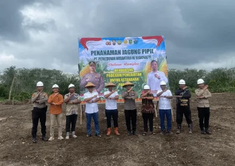 Sukses Penanaman Padi gogo PT Perkebunan Nusantara IV PalmCo Bersinergi Pengan Polri Membudidayakan Jagung