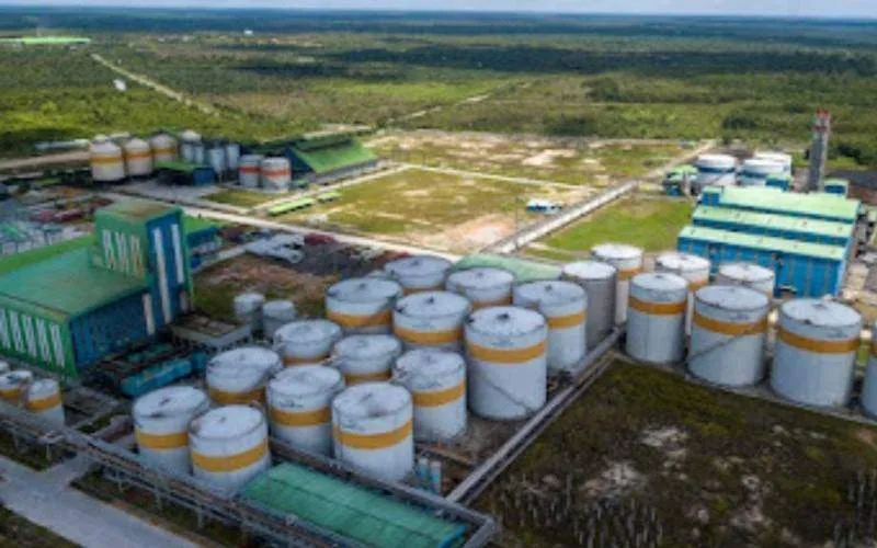 PT Citra Borneo Utama Tbk Siap Memacu Kinerja 2026, B50 Menjadi Katalis