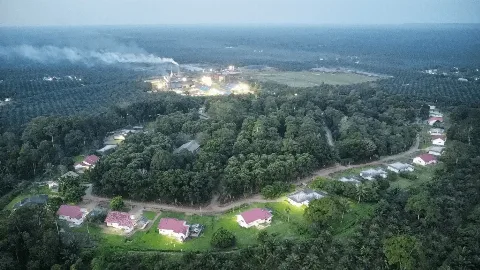PT Perkebunan Nusantara IV (PTPN IV) Regional III Menunjukkan Komitmen dalam Praktik Perkebunan Berkelanjutan