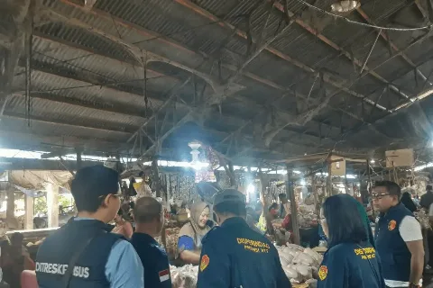 TPID Nusa Tenggara Timur Temukan MinyaKita Dijual di Atas HET