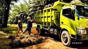 Biomassa Sawit Mendukung Ketahanan Energi Berkelanjutan