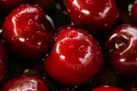  Coating Glossy Berbasis Sawit Bermanfaat Memperpanjang Kesegaran Buah