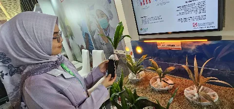 Sinar Mas Agro Makin Cuan, Pendapatan Naik Menjadi Rp78,8 Triliun