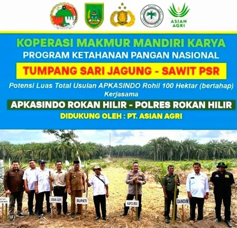 Mandatori Ketahanan Pangan Jagung, Asian Agri Gandeng APKASINDO dan Polri