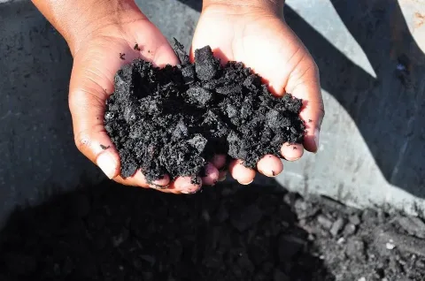 Penggunaan POME Menjadi Biochar, Bantu Indonesia Tekan Emisi Karbon