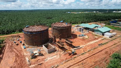 Papua Bakal Miliki Pembangkit Listrik Biogas Sawit Pertama