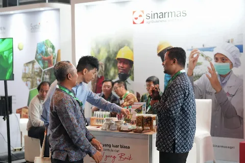 Tantangan Perubahan Iklim dan Solusinya Bagi Perkebunan Sawit