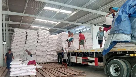 Pembatasan Operasional Angkutan Barang Tidak Berpengaruh Pada Distribusi Pupuk
