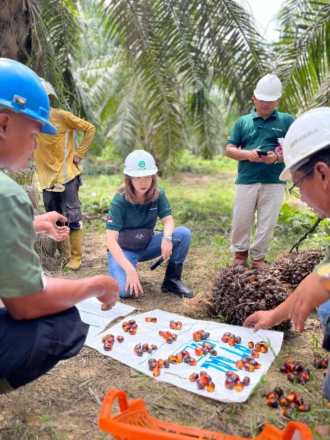 Ditopang Kinerja yang Inklusif Astra Agro Catat Pendapatan Bersih Rp 21,82 Triliun di 2024