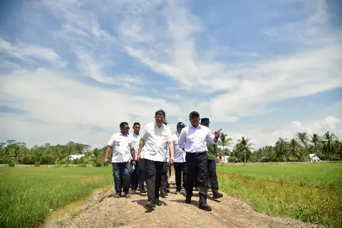 Wakil Ketua Komisi IV DPR RI Mengapresiasi Kabupaten Banyuasin Mengoptimalkan Lahan Rawa Menjadi Lahan Pertanian