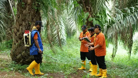 Learning Factory AKPY ‘STIPER’ Bekali Mahasiswa untuk Magang dan On Job Training di Perusahaan Sawit