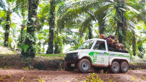 Sektor Kelapa Sawit Rambah Penggunaan Kendaraan Listrik
