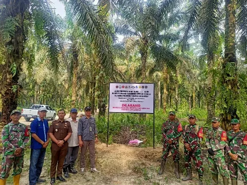 Setelah 1 Juta ha Lahan Sawit Dikuasai Negara, Apa Selanjutnya?