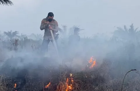Tim Gabungan Berjibaku Padamkan Api di Bengkalis, Kampar, dan Inhil