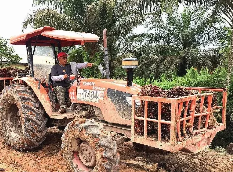 Petani Sawit Minta Ini Ke Pemerintah Setelah Pungutan Ekspor Naik