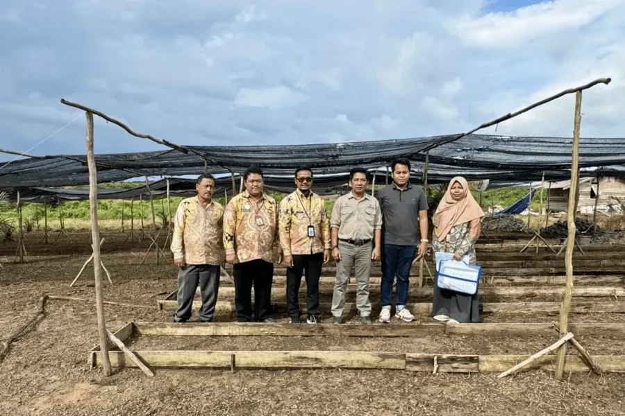 Disbunnak Kalsel Berikan Layanan Rekomendasi Izin Usaha Benih Kelapa Sawit