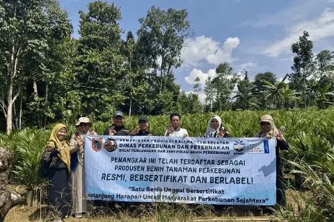 Disbunnak Kalsel Menerapkan Layanan Sistem Sertifikasi Secara Daring Bagi Penangkar Benih Kelapa Sawit