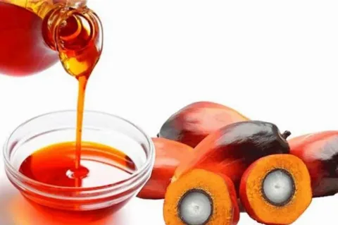 Saingi Sawit, Kanola dan Sorgum Jadi Fokus Australia untuk Bahan Bakar Bersih