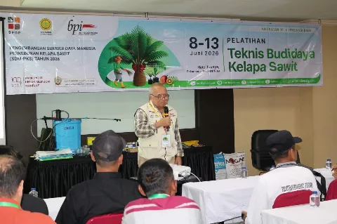 TINGKATKAN PRODUKTIVITAS, PETANI KELAPA SAWIT DI RIAU IKUTI PELATIHAN BUDI DAYA KELAPA SAWIT BERSAMA BPDP