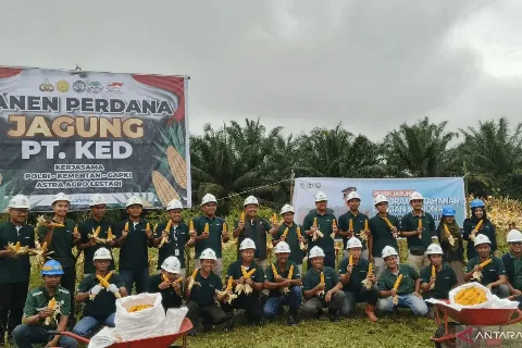 Polsek Muara Wahau bersinergi Bersama PT Astra Agro Lestari Tbk Panen Jagung Guna Ketahanan Pangan